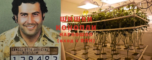 MESCALINE Аркадак