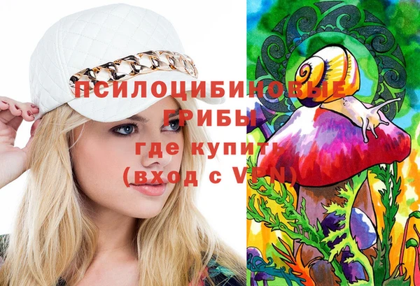 MESCALINE Аркадак