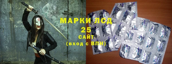 стаф Алексин