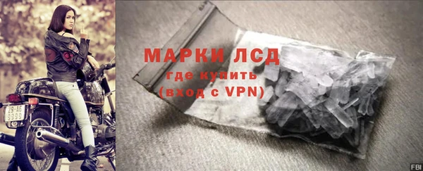 стаф Алексин