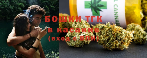 прущие грибы Алзамай