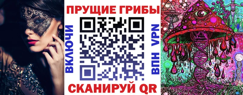 Купить  Тосно  Псилоцибиновые грибы мицелий 